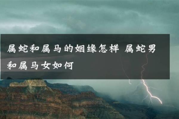 属马和属羊的婚姻配对是否真的合适长久？