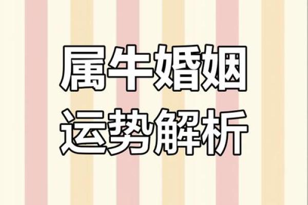 97年牛和02年马结婚合适吗？生肖配对与婚姻运势解析