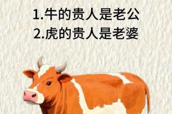 猪和什么星座在一起最容易白头偕老感情稳定