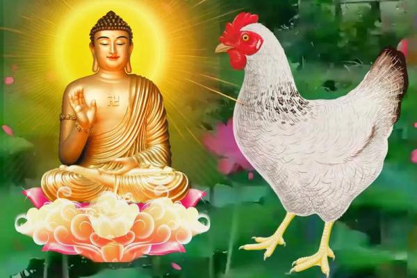 1993年属鸡的人哪一年会遇到命中注定的正缘桃花？