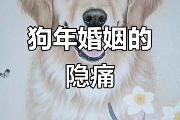 2025年属狗人的婚姻危机有哪些征兆和化解方法