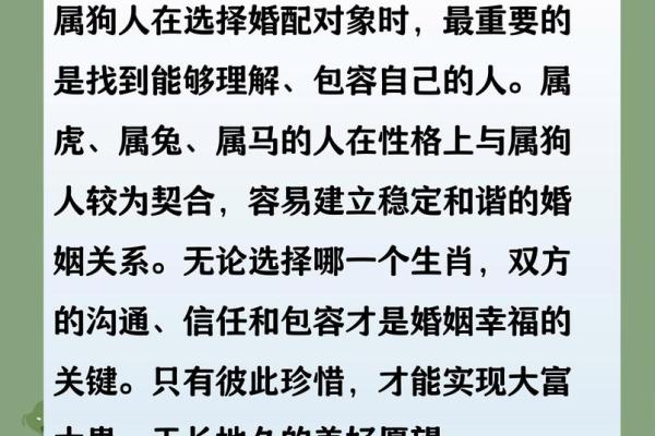 属狗女和什么属相最配 详细解析最佳婚配组合
