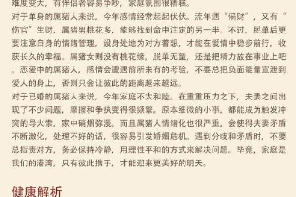 1995年属猪男2025年正缘运势详解，何时遇见理想伴侣