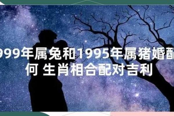 属猪和属兔的婚配指数高吗？两人性格合得来吗