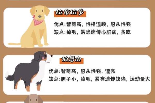 从性格角度分析属狗与属牛的婚配优缺点有哪些？