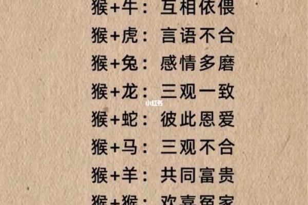 生肖猴与哪个属相最配？揭秘天生一对的完美伴侣组合