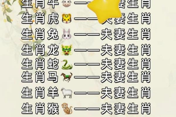 十二生肖属相婚配表查询，哪些属相最相配？