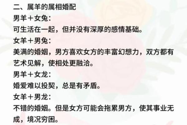 蛇和羊的属相婚配是否合适，需要注意哪些方面？