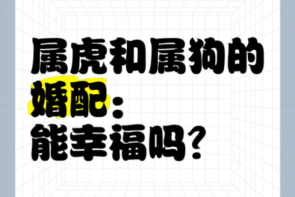 43岁属狗女性婚姻出现矛盾时，如何通过沟通和调整来修复夫妻关系？