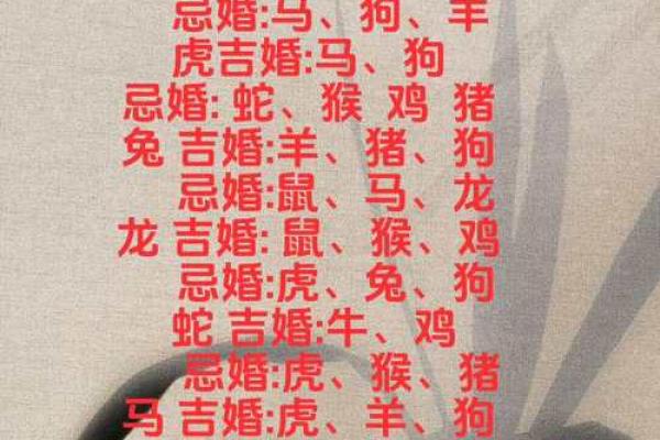 属相不合真的会影响婚姻幸福吗？如何化解？