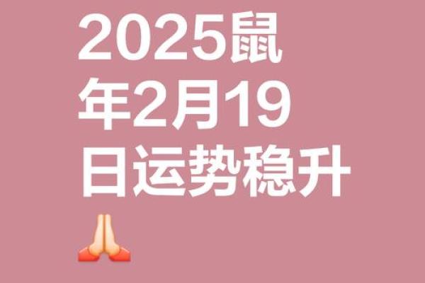 属鼠的男性最佳婚配生肖是哪些且婚后运势如何解析