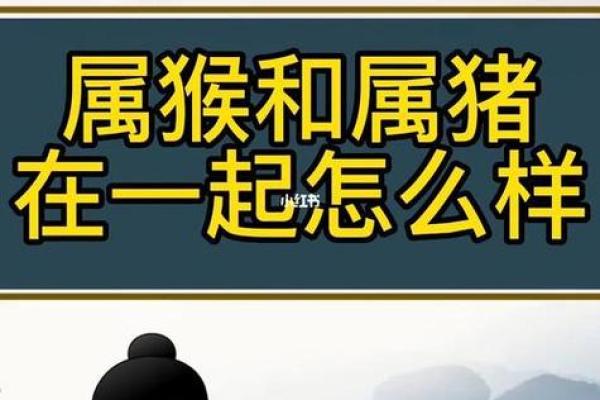 1992年属猴和1995年属猪结婚真的会相克吗？有什么说法