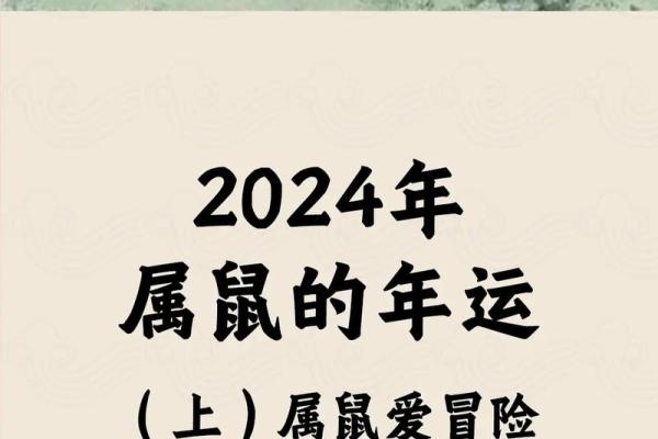 1984年出生属鼠2025年事业财运和健康需要注意什么
