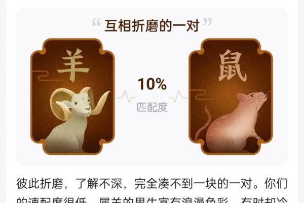 属马和属羊在一起会不会经常吵架闹矛盾？