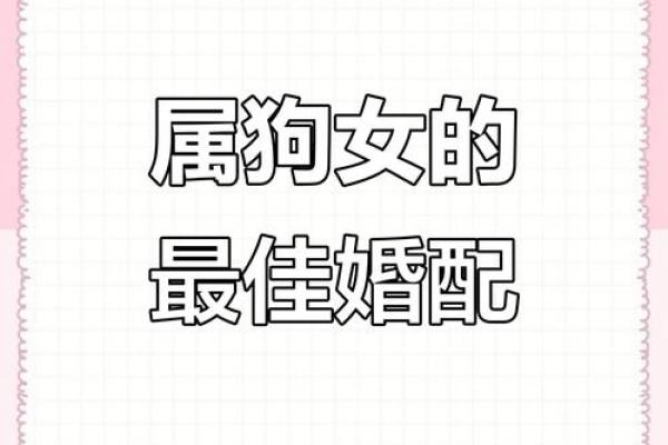 属狗的女性与哪些生肖婚配最为幸福长久