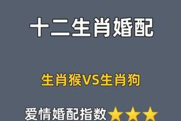 属狗的女性与哪些生肖婚配最为幸福长久