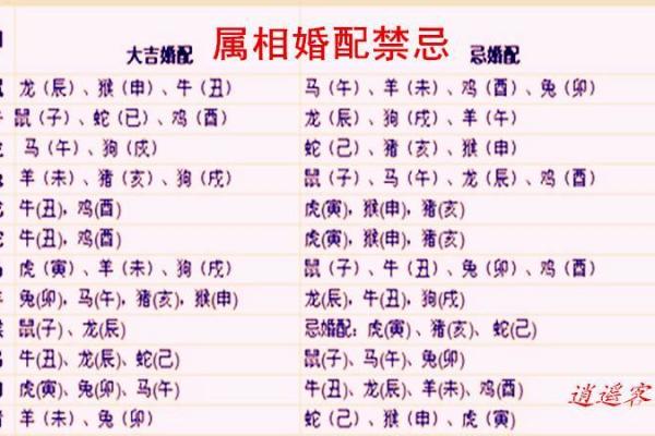 属兔男性最佳婚配属相是哪些请详细解析