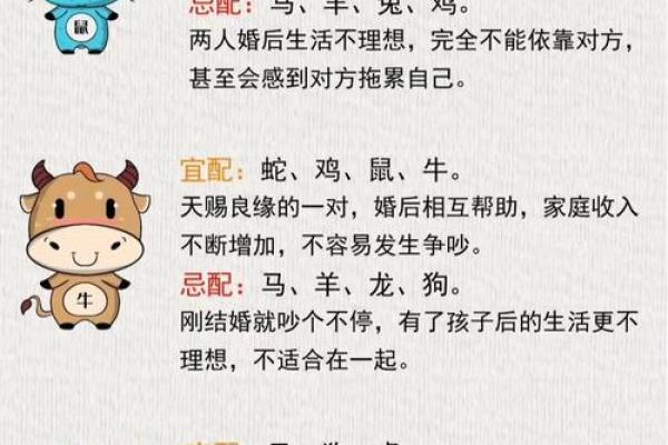 鸡和猪的属相婚配如何？是否适合做夫妻或情侣？
