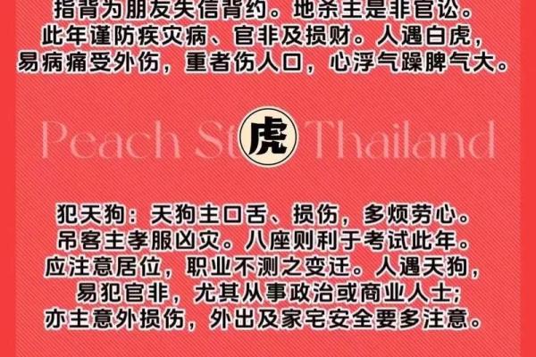 2025年属狗者如何通过规避相冲生肖来提升全年运势？