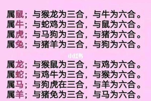 从生肖命理角度分析，虎和兔的属相合不合，是否适合做夫妻或合作伙伴？