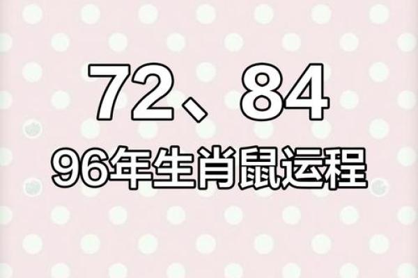 1948年出生的属鼠人2025年全年运势详解及每月运程分析