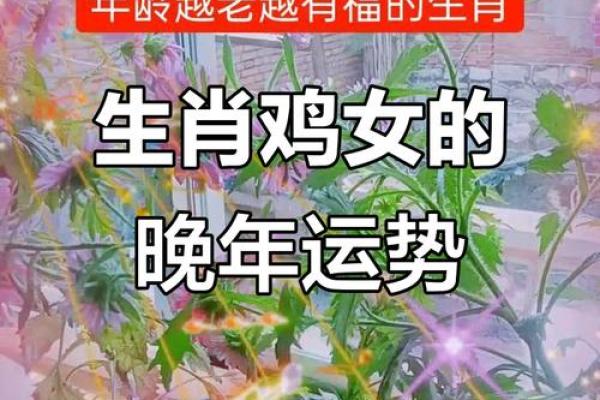 1993年属鸡的女性一生婚姻运势如何，会幸福吗
