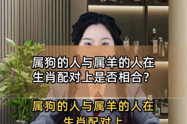 狗和羊的属相婚配是否合适？解析生肖配对中的相生相克关系