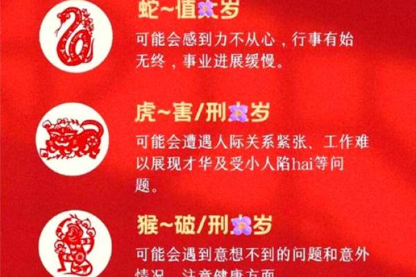 属蛇和属蛇的婚配需要注意哪些潜在问题与挑战？