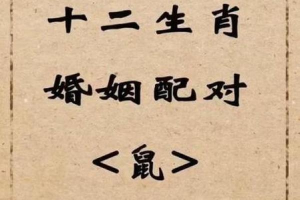 生肖鼠的最佳婚配对象是哪些生肖，属鼠人婚姻幸福指南