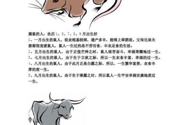 2008年属鼠的是什么命？五行属什么？详细解析