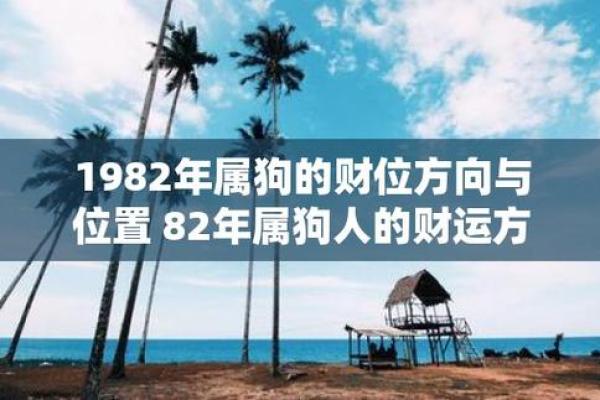 从风水学角度解析马和狗一起养对家庭财运的影响有哪些讲究