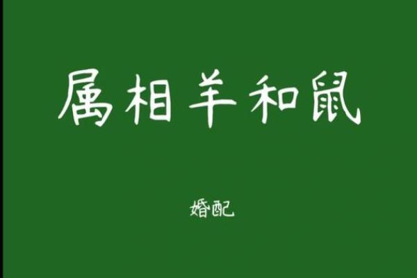 从生肖性格角度分析，属鼠和属羊的人在事业上合作是否合适？