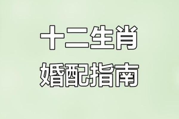 属狗的人和什么属相最配？揭秘最佳婚恋配对组合