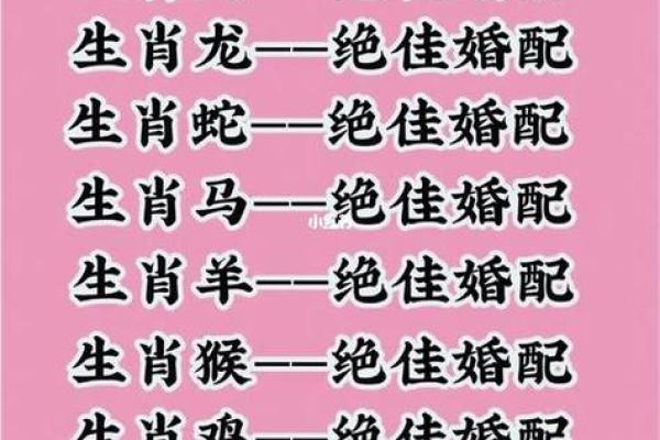 属狗的最佳婚配属相是哪些生肖组合能够长久和睦相处