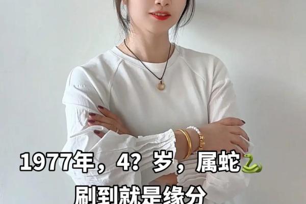 1977年蛇女二婚会在哪一年，再婚后的感情运势怎么样？