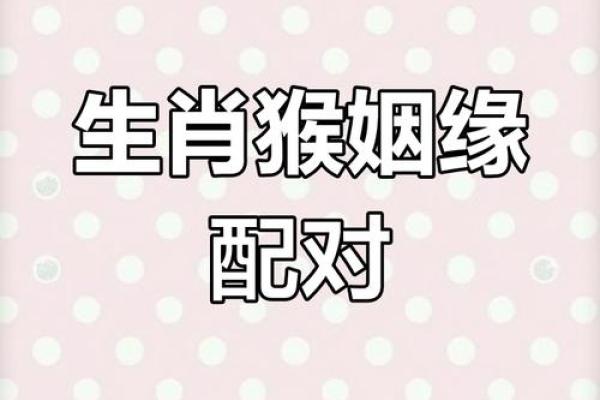 属猴的人与什么生肖最相配，婚姻幸福且能互相促进事业发展？