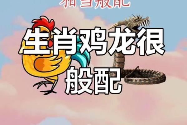1993年出生的属鸡者婚配生肖选择指南与得把眼睛擦亮了