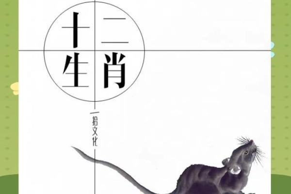 从传统文化角度解析年老色衰代表什么生肖的深层含义