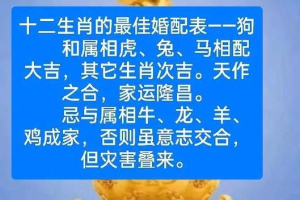 属狗女和什么属相最配婚姻能长久稳定并财运旺盛