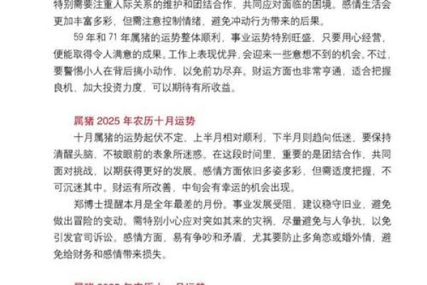 属猪人2025年感情运势如何，会不会遇到正缘或结婚机会？