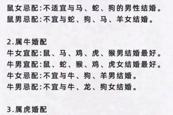 95年属猪女最佳婚配属相，看看你和谁最合得来