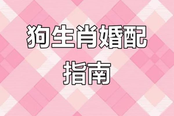 属狗的和什么属相最配？详细解析属狗人的最佳婚配组合