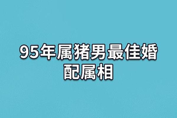 95年属猪男和98年属虎女婚配八字合不合，姻缘指数高吗？