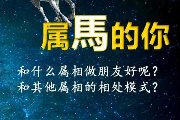 生肖马的最佳婚配属相是哪些，属马人找对象和谁最合得来？