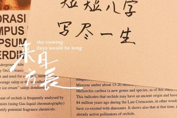 佛心大无畏八字真言 佛家六字真言八字箴言是哪八个字 佛心大无畏八字真言 佛家六字真言八字箴言是哪八个字