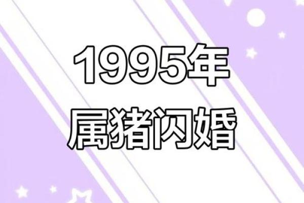 1995年属猪的最佳配偶属相是哪些，性格合得来吗？