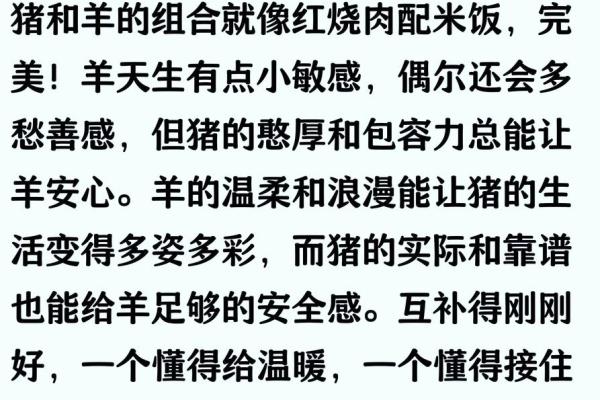 属猪的人和什么生肖在一起最合适，能否长久幸福？