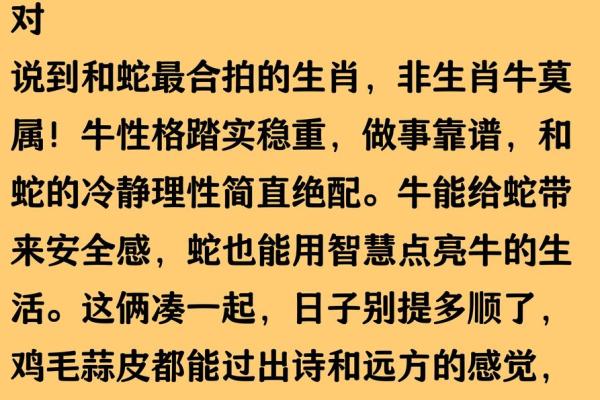 属牛的人最佳婚配生肖是哪些求详细解析
