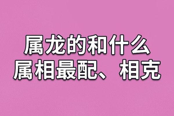 从生肖配对角度分析，属龙者与什么属相的配偶最幸福美满？