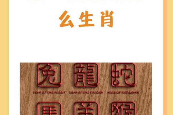 成双成对四八中是什么生肖
